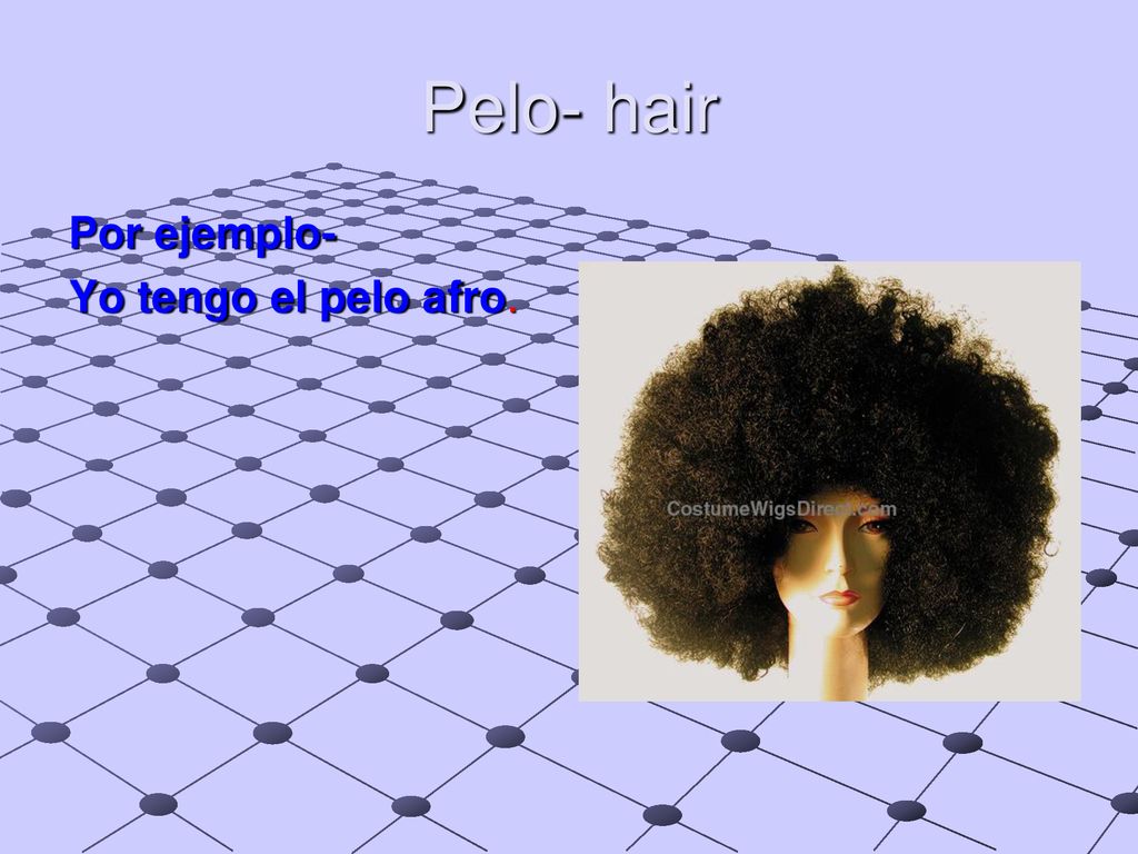 Pelo- hair Por ejemplo- Yo tengo el pelo afro.
