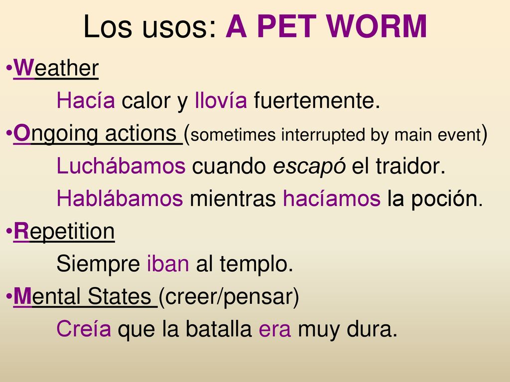 Los usos: A PET WORM Weather Hacía calor y llovía fuertemente.