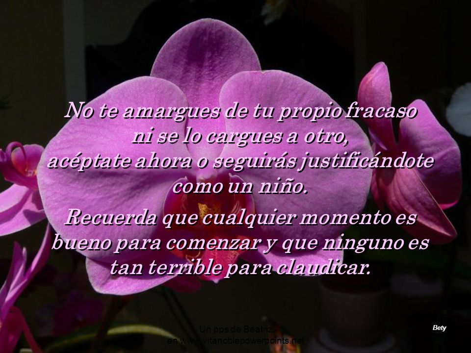 No te amargues de tu propio fracaso ni se lo cargues a otro,