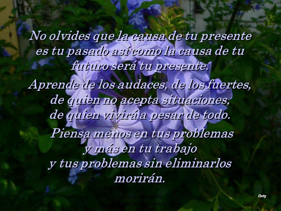de quien vivirá a pesar de todo. Piensa menos en tus problemas