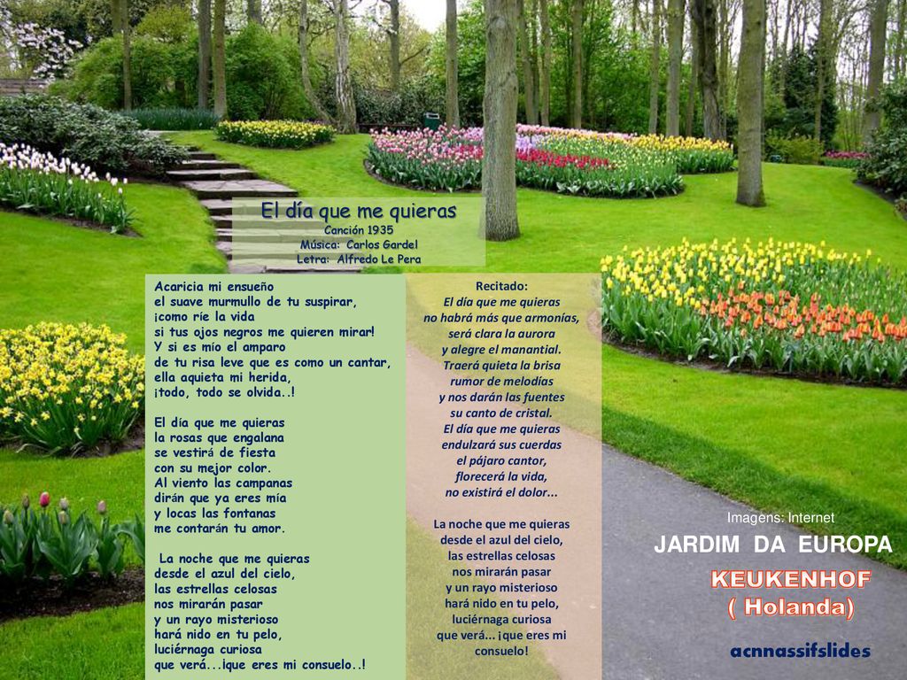 JARDIM DA EUROPA KEUKENHOF ( Holanda) El día que me quieras