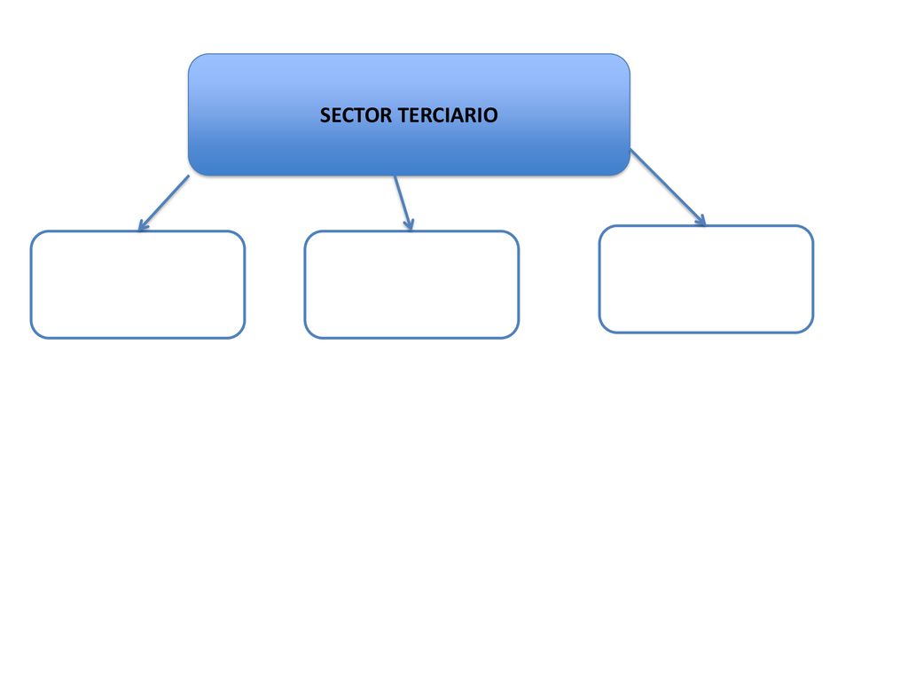 SECTOR TERCIARIO Completa este esquema con los nombres de las actividades que forman parte del sector TERCIARIO.