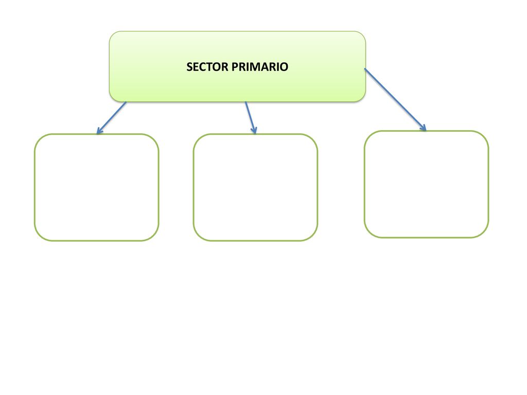SECTOR PRIMARIO Completa este esquema con los nombres de las actividades que forman parte del sector primario.