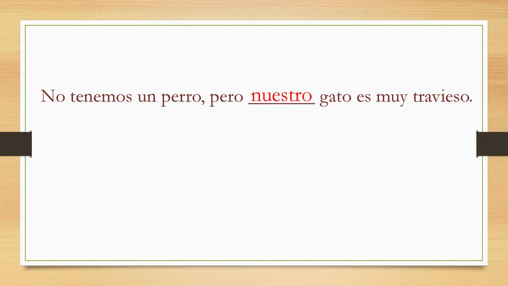 nuestro No tenemos un perro, pero _______ gato es muy travieso.