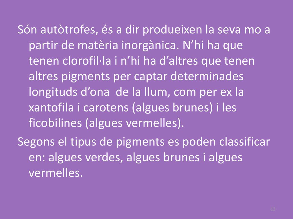 Són autòtrofes, és a dir produeixen la seva mo a partir de matèria inorgànica.