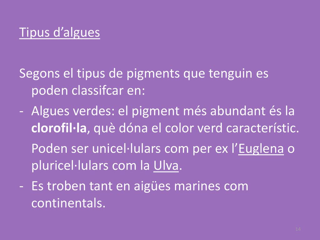 Tipus d’algues Segons el tipus de pigments que tenguin es poden classifcar en: