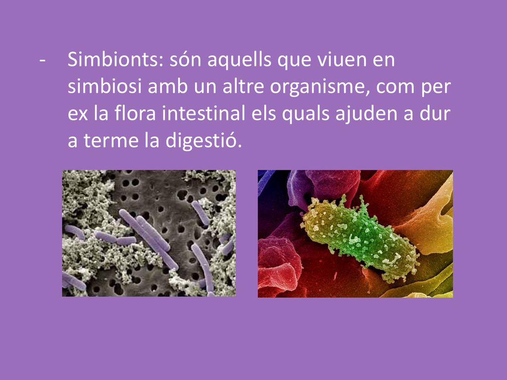 Simbionts: són aquells que viuen en simbiosi amb un altre organisme, com per ex la flora intestinal els quals ajuden a dur a terme la digestió.