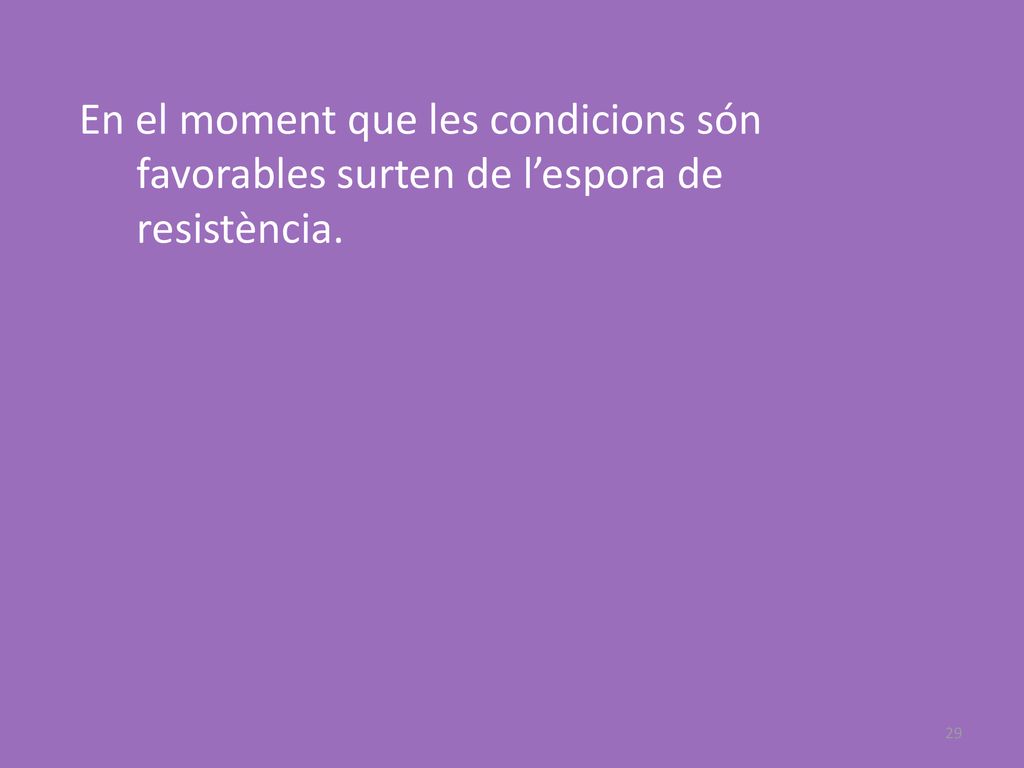 En el moment que les condicions són favorables surten de l’espora de resistència.