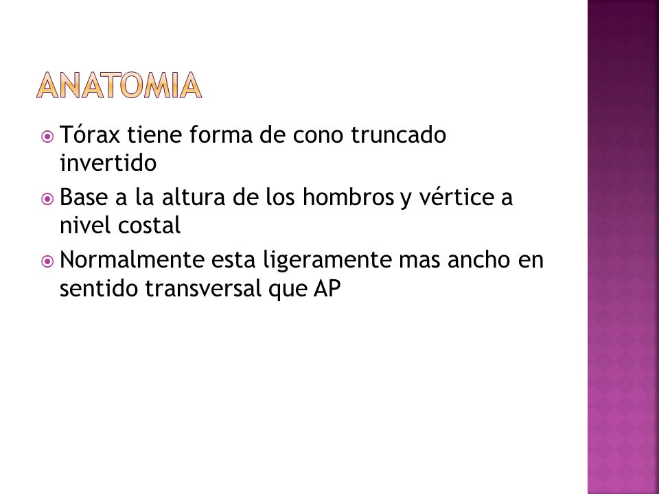ANATOMIA Tórax tiene forma de cono truncado invertido