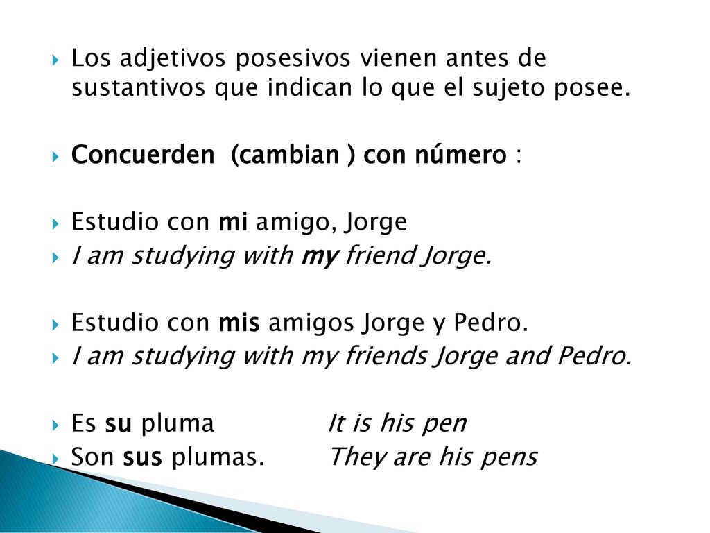 Los adjetivos posesivos vienen antes de sustantivos que indican lo que el sujeto posee.