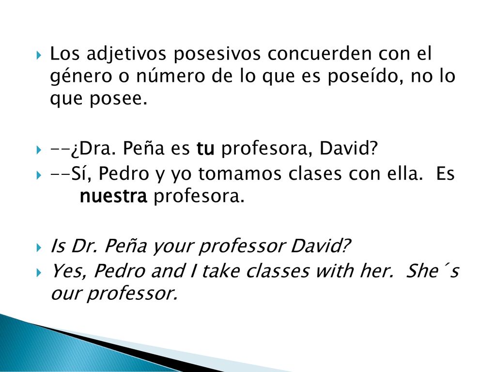 Los adjetivos posesivos concuerden con el género o número de lo que es poseído, no lo que posee.