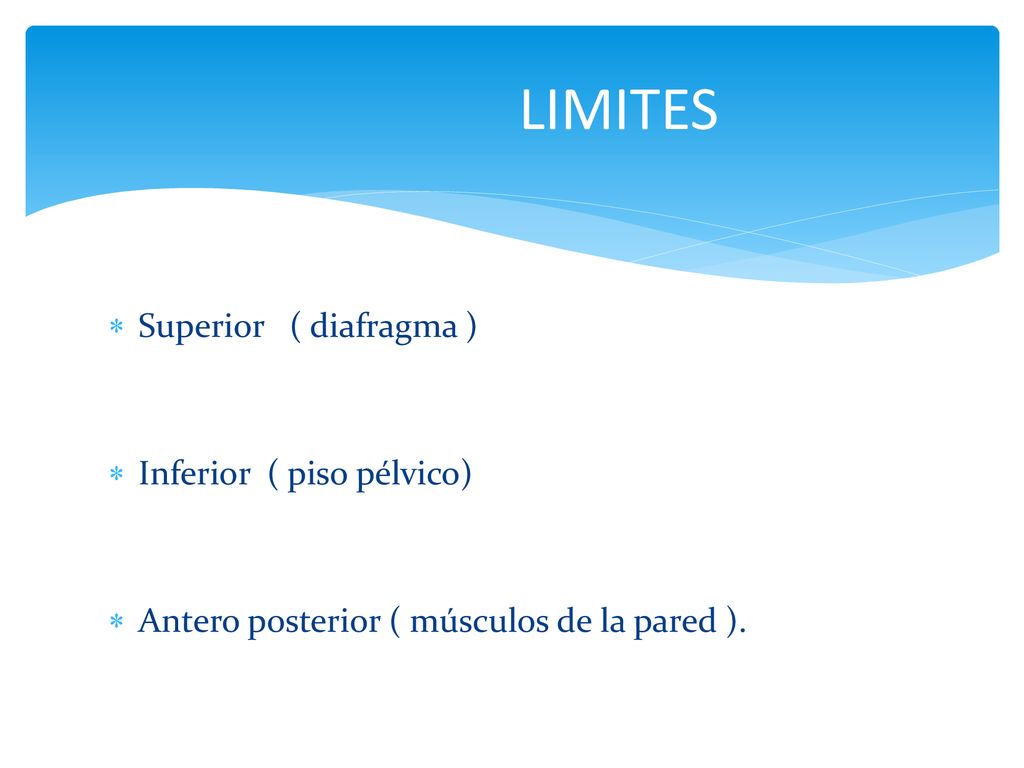LIMITES Superior ( diafragma ) Inferior ( piso pélvico)