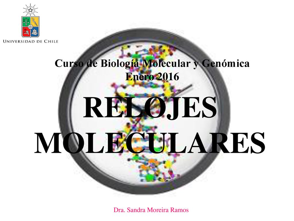 RELOJES MOLECULARES Curso de Biología Molecular y Genómica Enero 2016