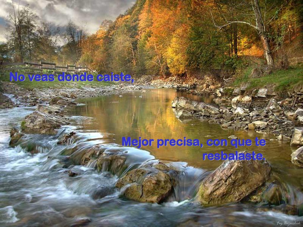 No veas donde caiste, Mejor precisa, con que te resbalaste.
