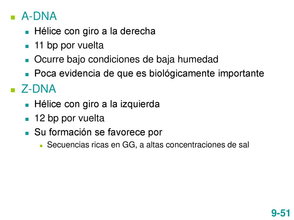 A-DNA Z-DNA Hélice con giro a la derecha 11 bp por vuelta