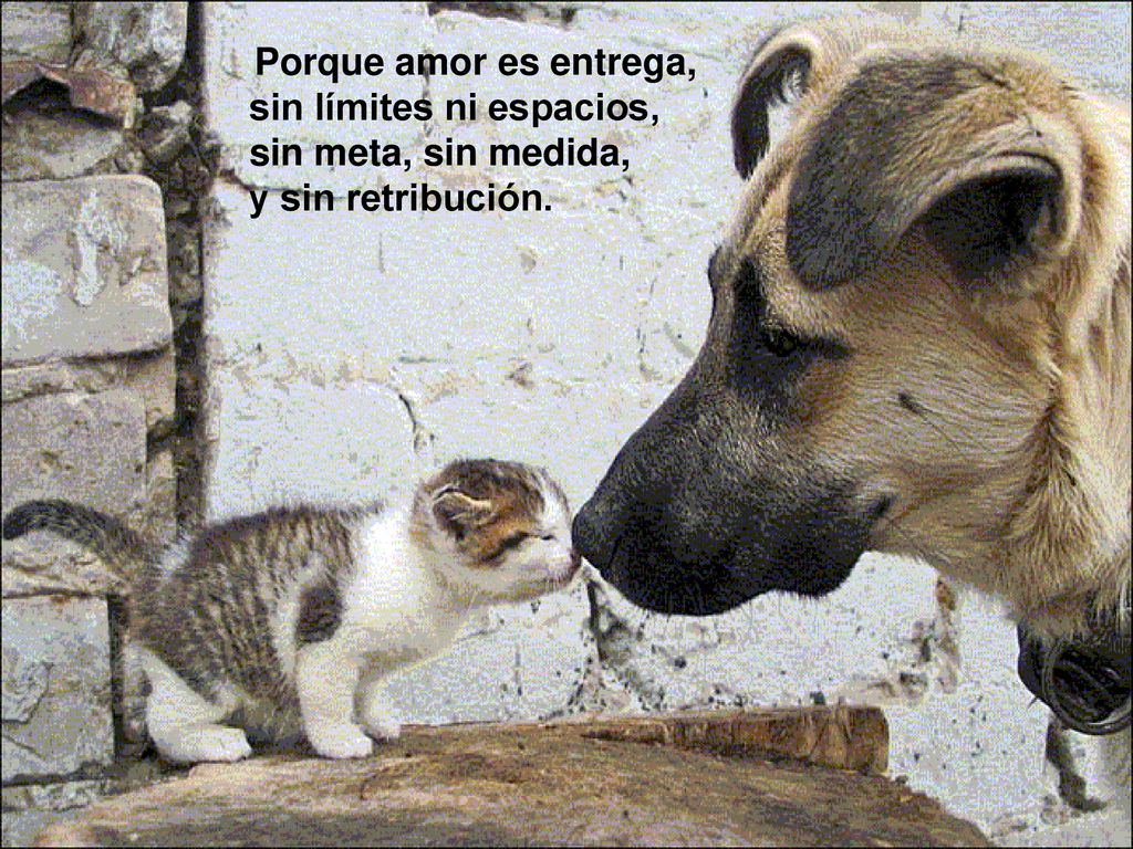 sin límites ni espacios, sin meta, sin medida, y sin retribución.