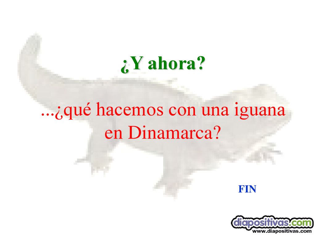 ¿Y ahora ...¿qué hacemos con una iguana en Dinamarca