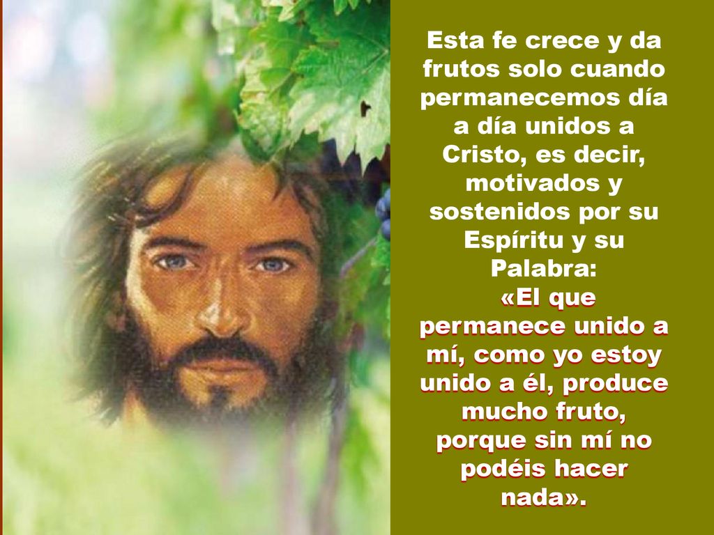 Esta fe crece y da frutos solo cuando permanecemos día a día unidos a Cristo, es decir, motivados y sostenidos por su Espíritu y su Palabra: