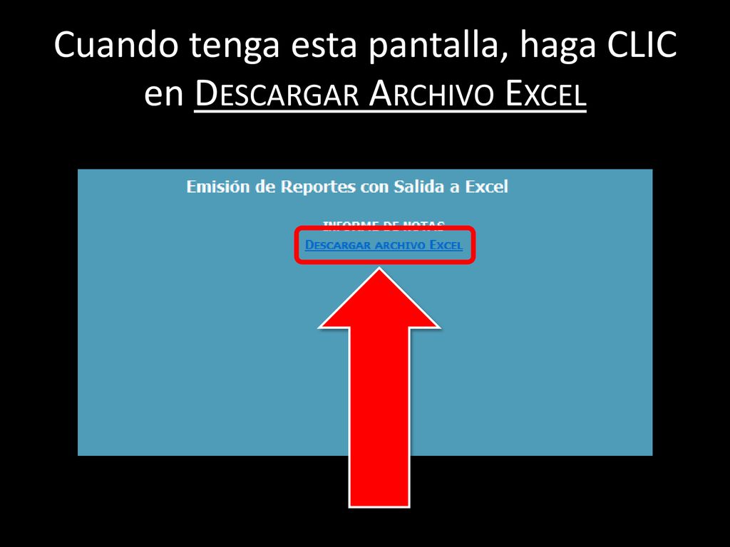 Cuando tenga esta pantalla, haga CLIC en Descargar Archivo Excel