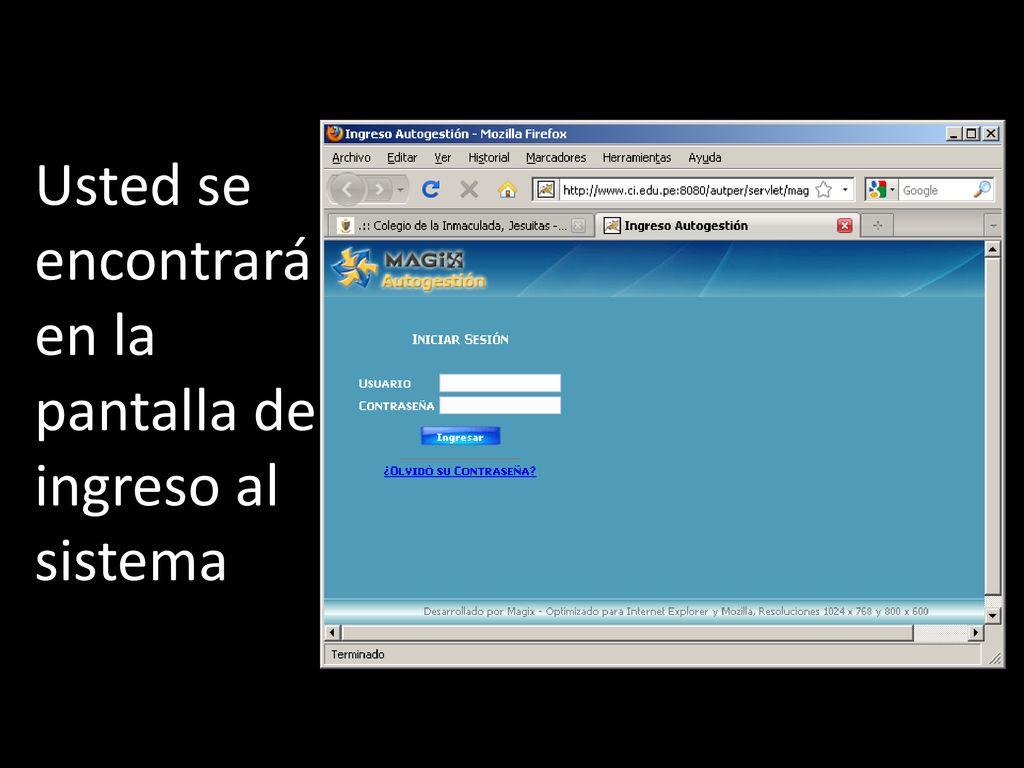 Usted se encontrará en la pantalla de ingreso al sistema