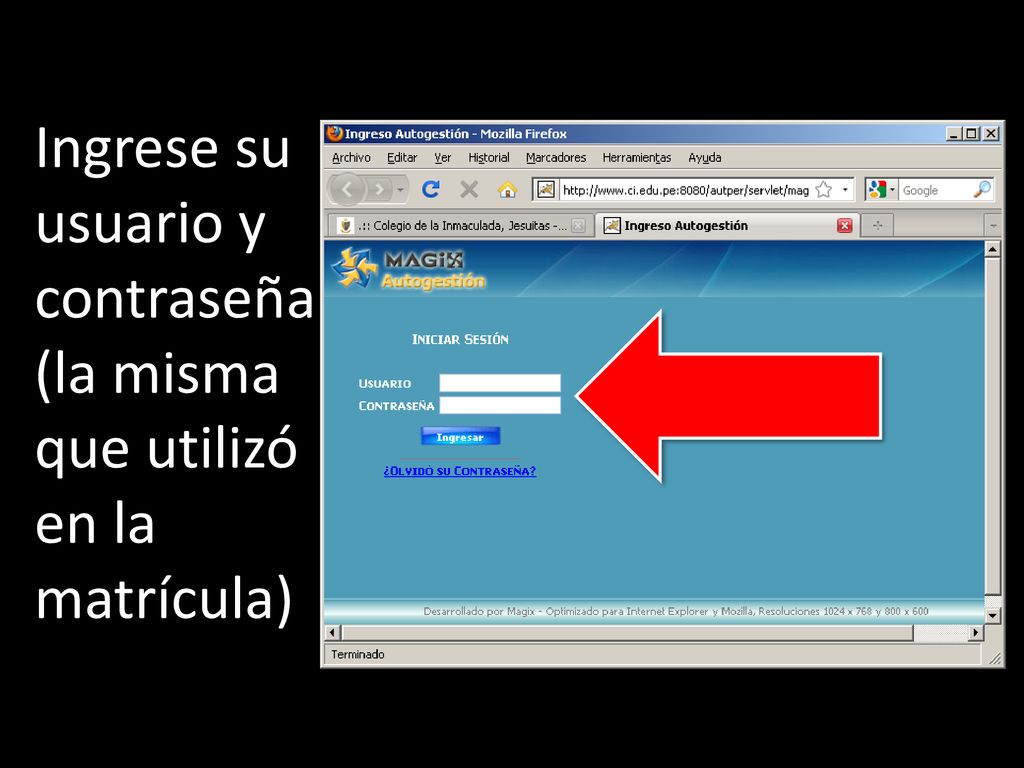 Ingrese su usuario y contraseña (la misma que utilizó en la matrícula)