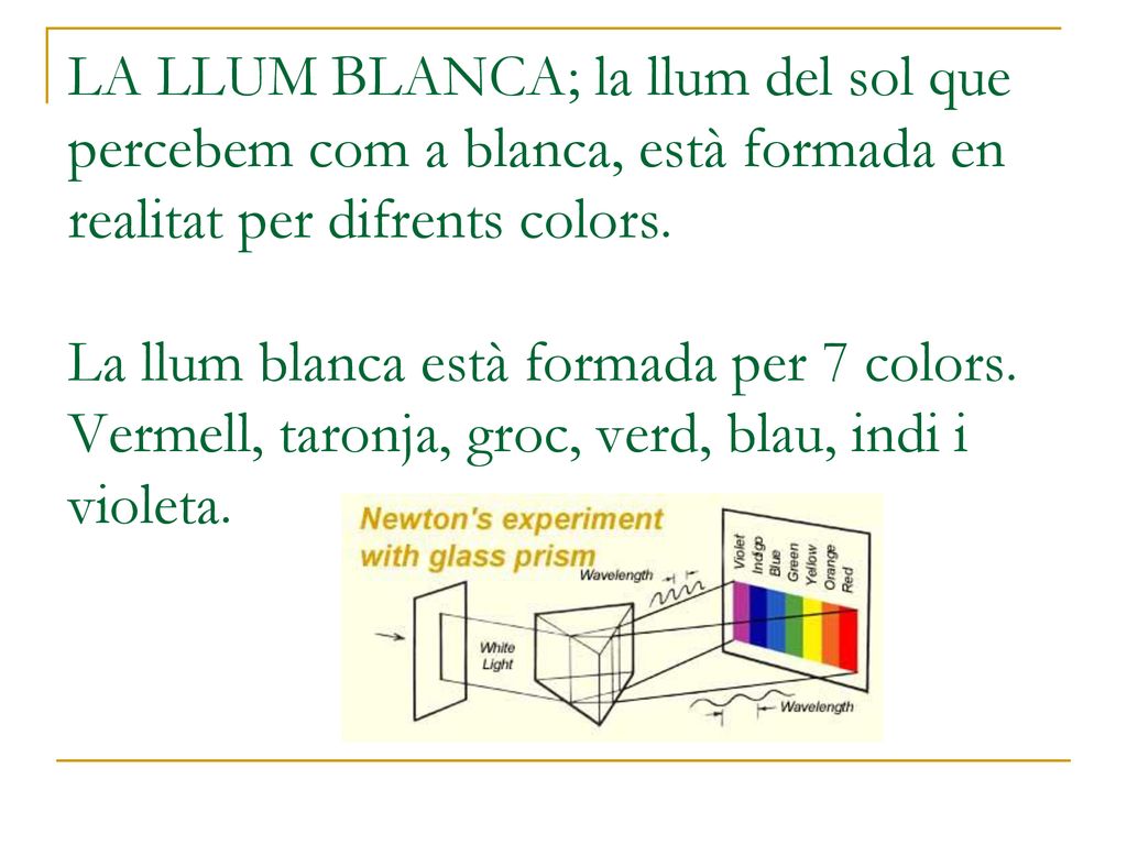 LA LLUM BLANCA; la llum del sol que percebem com a blanca, està formada en realitat per difrents colors.