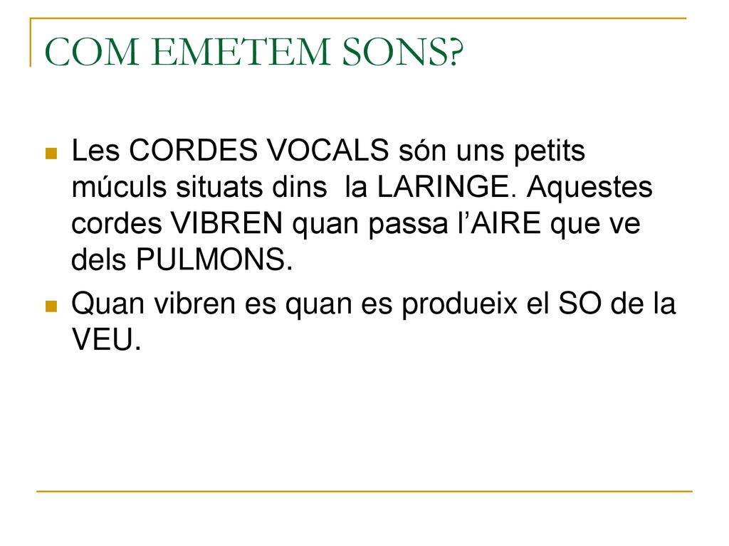 COM EMETEM SONS Les CORDES VOCALS són uns petits múculs situats dins la LARINGE. Aquestes cordes VIBREN quan passa l’AIRE que ve dels PULMONS.