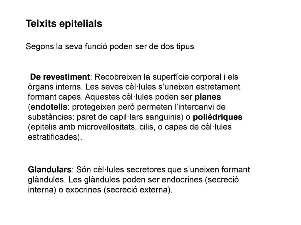 Teixits epitelials Segons la seva funció poden ser de dos tipus