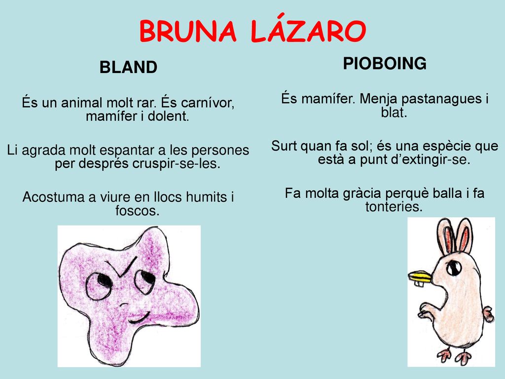 BRUNA LÁZARO PIOBOING BLAND És mamífer. Menja pastanagues i blat.