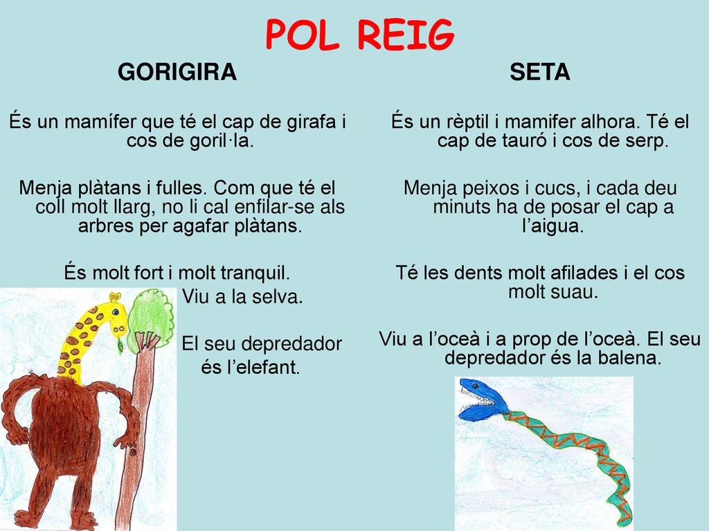 POL REIG GORIGIRA. És un mamífer que té el cap de girafa i cos de goril·la.