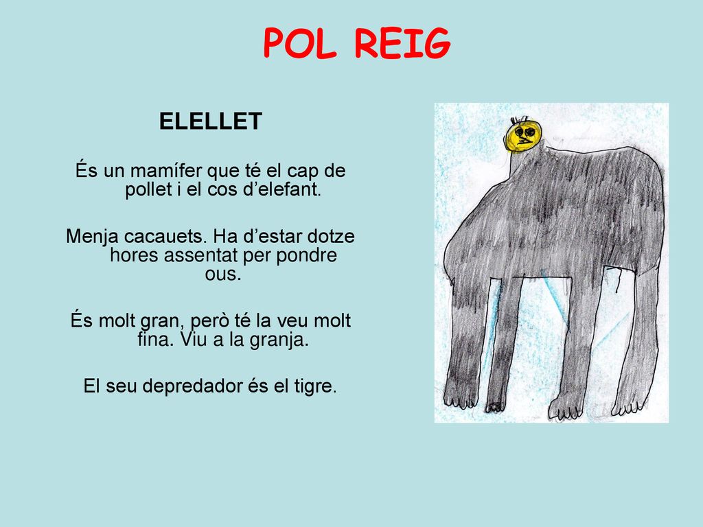 POL REIG ELELLET. És un mamífer que té el cap de pollet i el cos d’elefant. Menja cacauets. Ha d’estar dotze hores assentat per pondre ous.