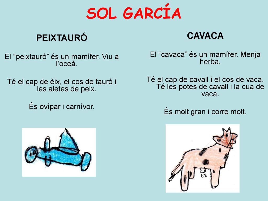 SOL GARCÍA CAVACA PEIXTAURÓ El cavaca és un mamífer. Menja herba.