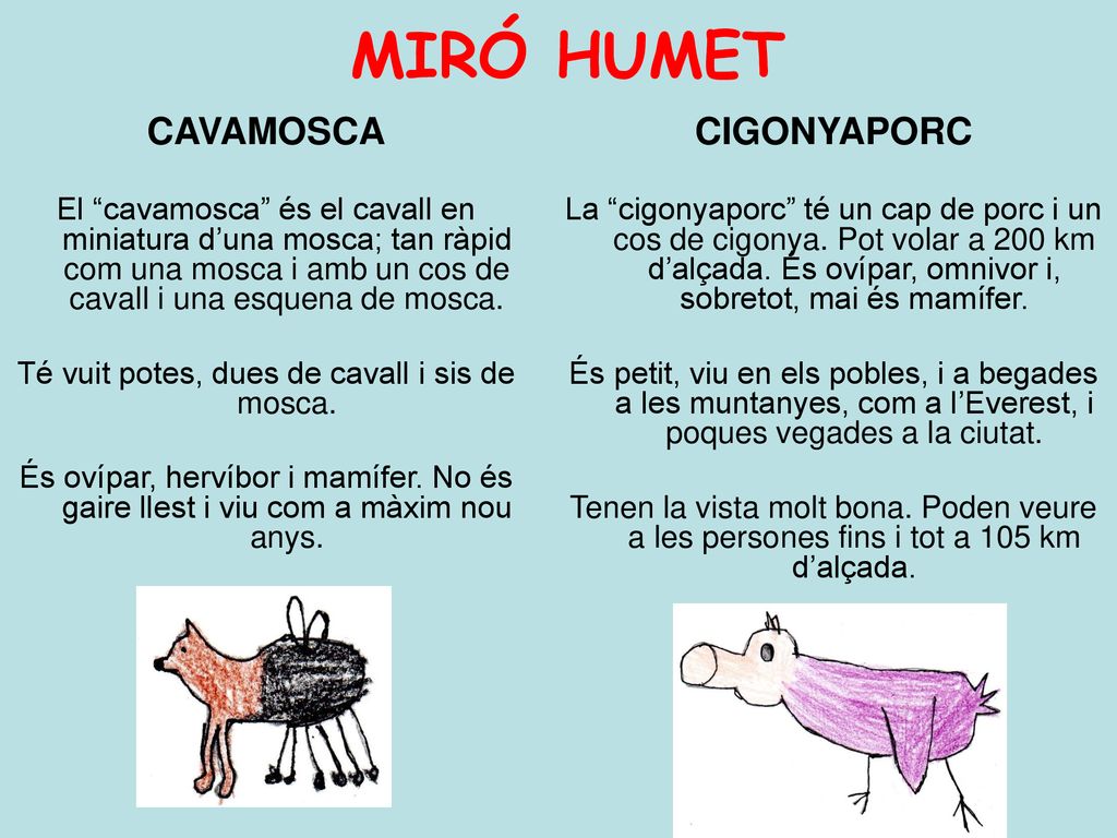 Té vuit potes, dues de cavall i sis de mosca.