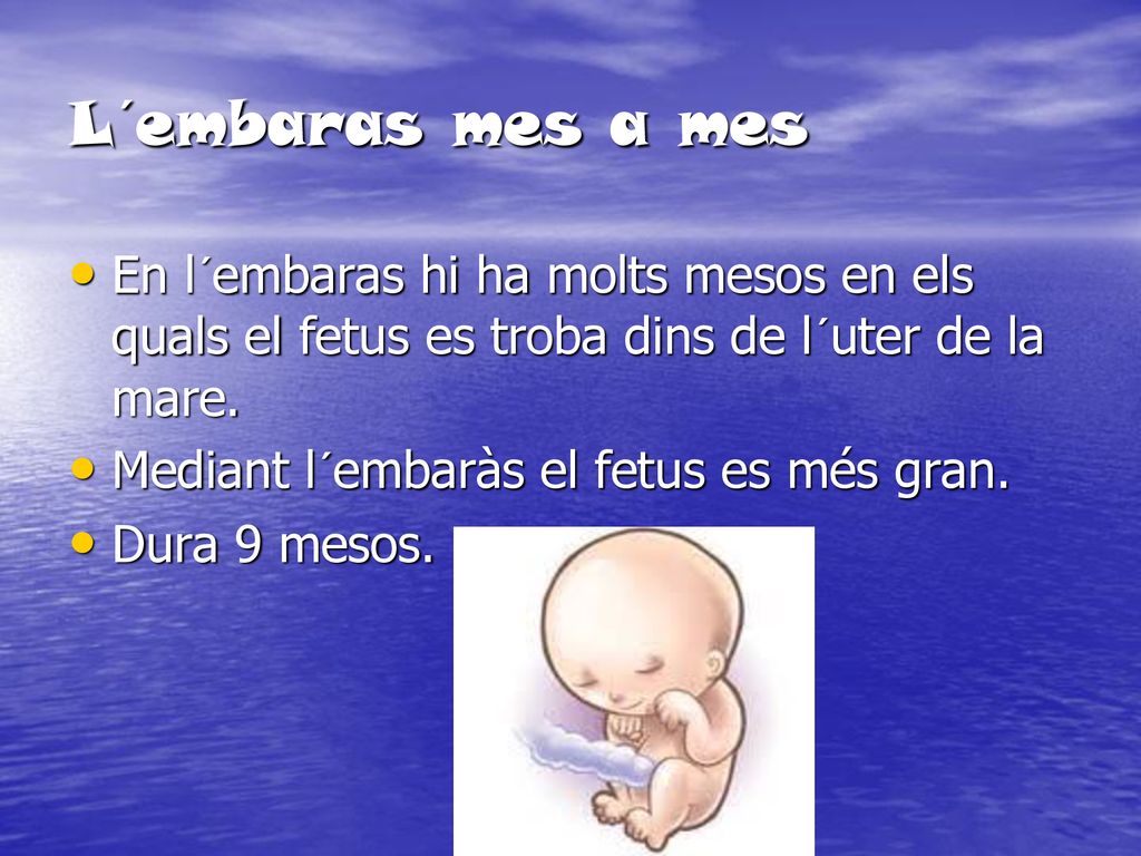 L´embaras mes a mes En l´embaras hi ha molts mesos en els quals el fetus es troba dins de l´uter de la mare.