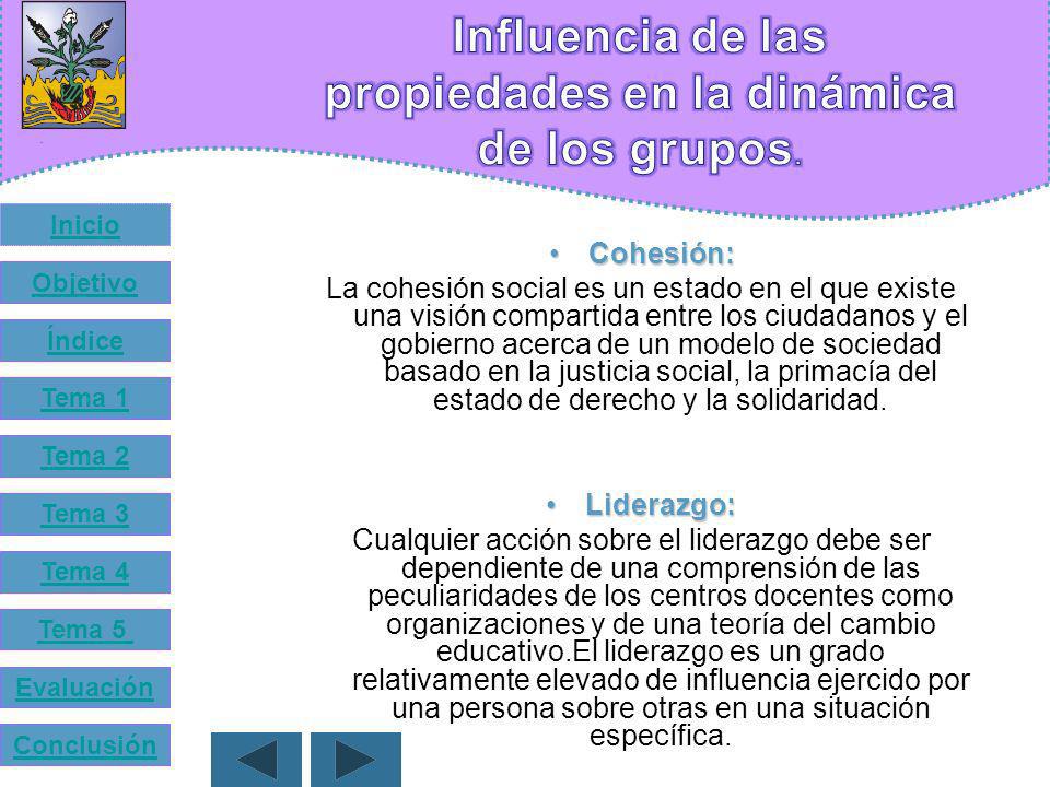 Influencia de las propiedades en la dinámica de los grupos.