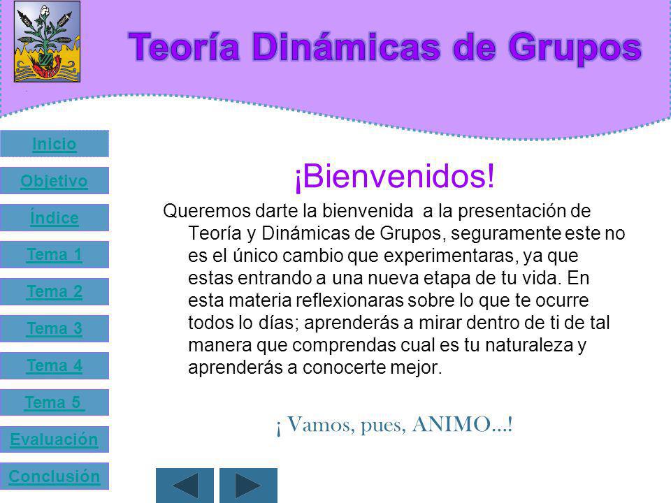 Teoría Dinámicas de Grupos