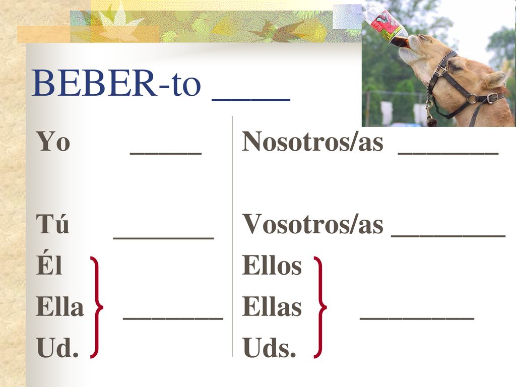 BEBER-to ____ Yo _____ Tú _______ Él Ella _______ Ud.