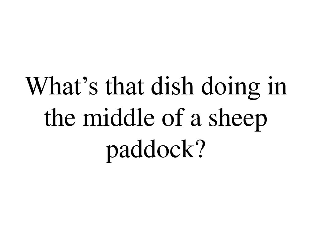 What’s that dish doing in the middle of a sheep paddock