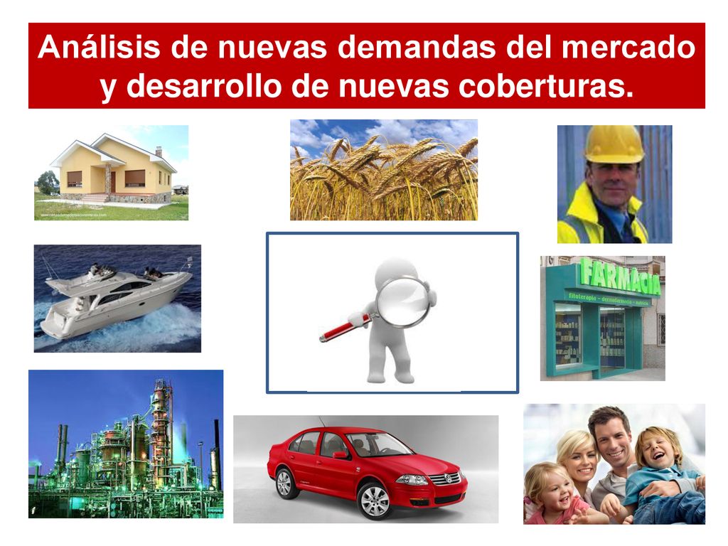 Análisis de nuevas demandas del mercado y desarrollo de nuevas coberturas.