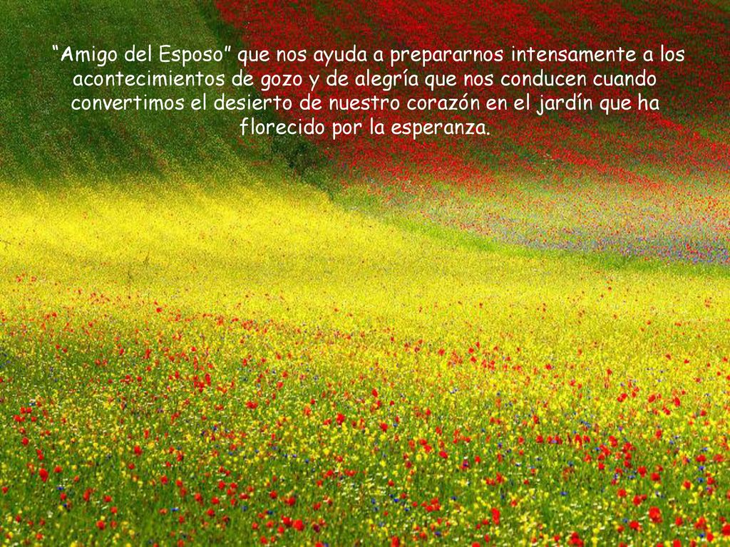 Amigo del Esposo que nos ayuda a prepararnos intensamente a los acontecimientos de gozo y de alegría que nos conducen cuando convertimos el desierto de nuestro corazón en el jardín que ha florecido por la esperanza.
