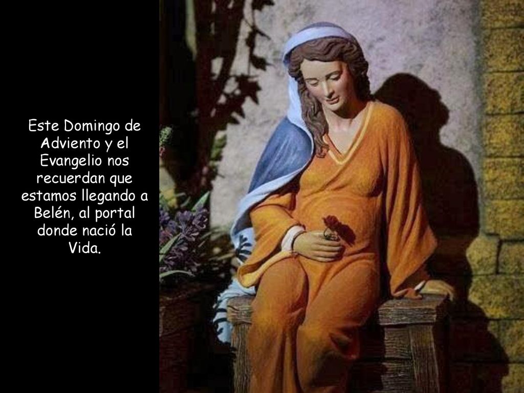 Este Domingo de Adviento y el Evangelio nos recuerdan que estamos llegando a Belén, al portal donde nació la Vida.