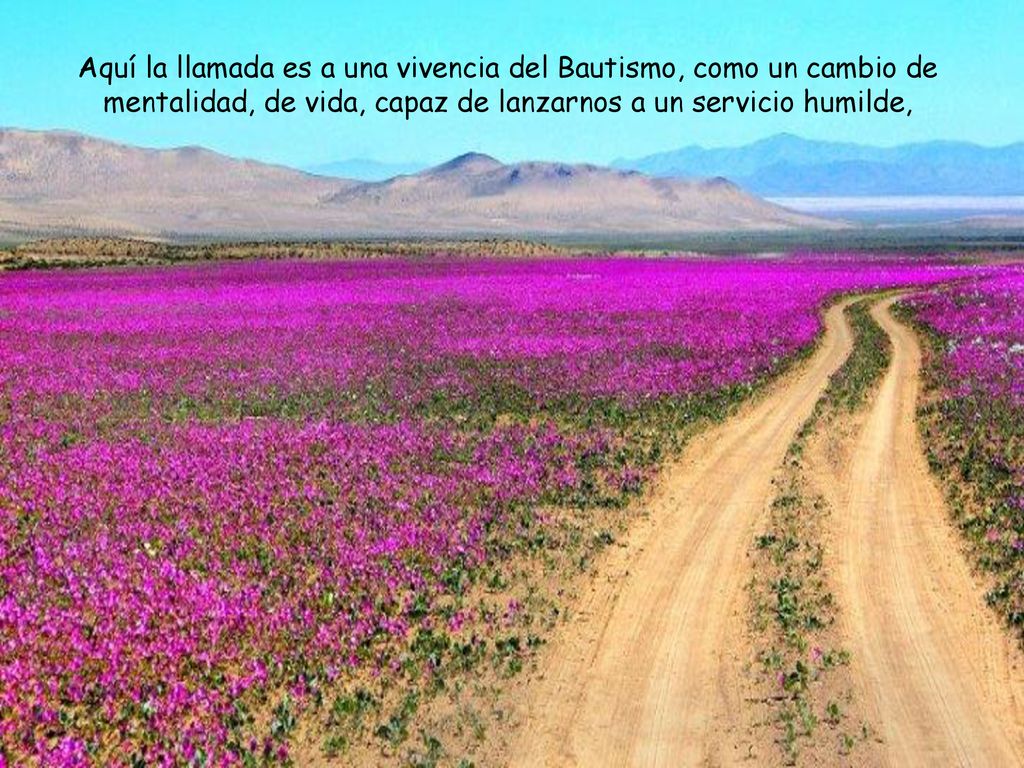 Aquí la llamada es a una vivencia del Bautismo, como un cambio de mentalidad, de vida, capaz de lanzarnos a un servicio humilde,