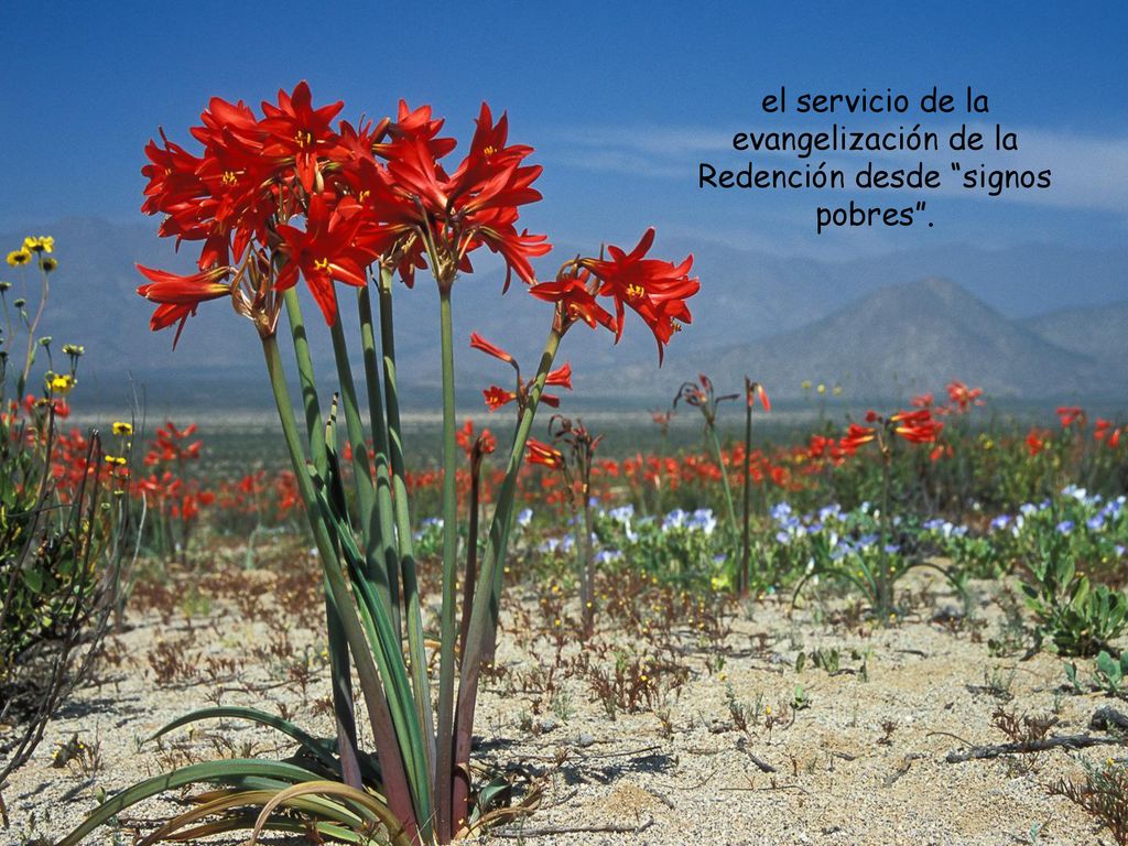 el servicio de la evangelización de la Redención desde signos pobres .
