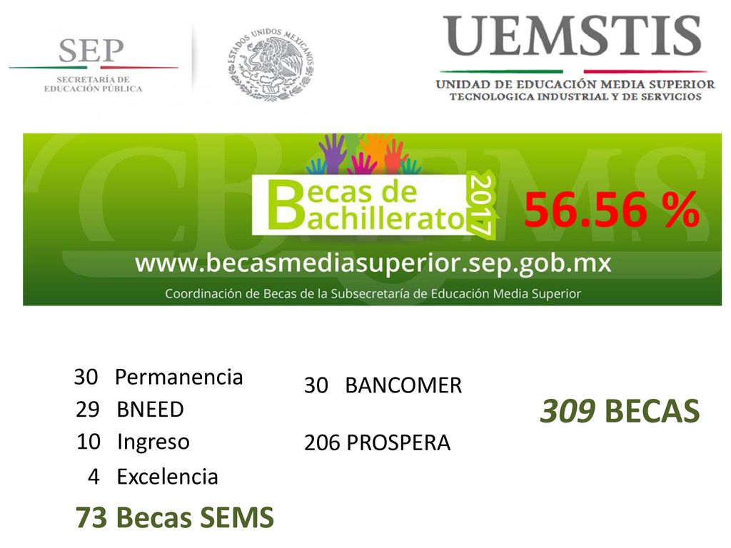 56.56 % 309 BECAS 73 Becas SEMS 30 Permanencia 30 BANCOMER 29 BNEED