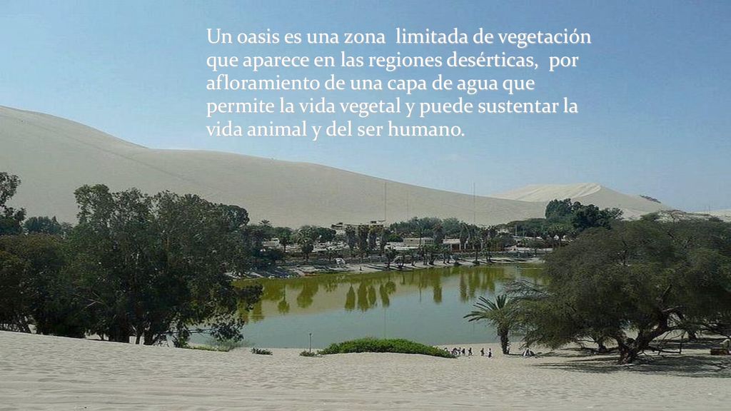 Un oasis es una zona limitada de vegetación que aparece en las regiones desérticas, por afloramiento de una capa de agua que permite la vida vegetal y puede sustentar la vida animal y del ser humano.