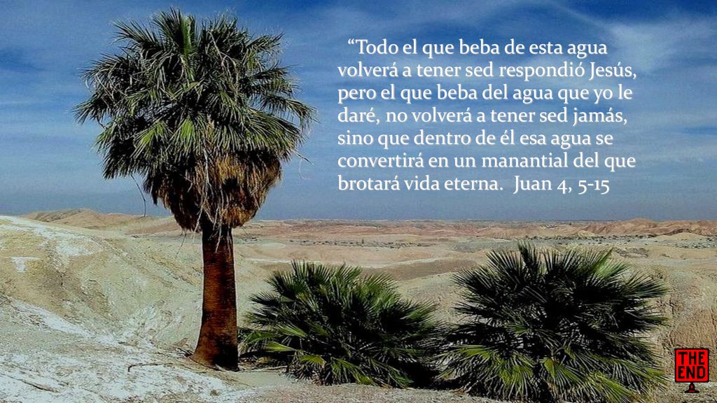 Todo el que beba de esta agua volverá a tener sed respondió Jesús, pero el que beba del agua que yo le daré, no volverá a tener sed jamás, sino que dentro de él esa agua se convertirá en un manantial del que brotará vida eterna. Juan 4, 5-15