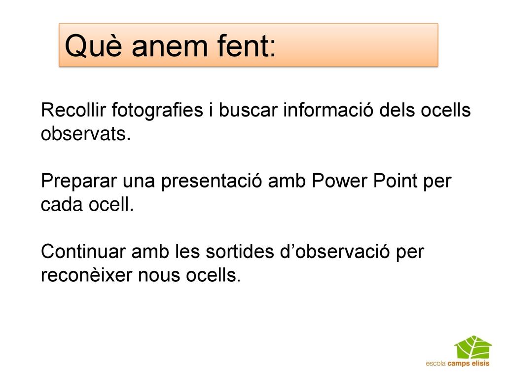 Què anem fent: Recollir fotografies i buscar informació dels ocells observats. Preparar una presentació amb Power Point per cada ocell.