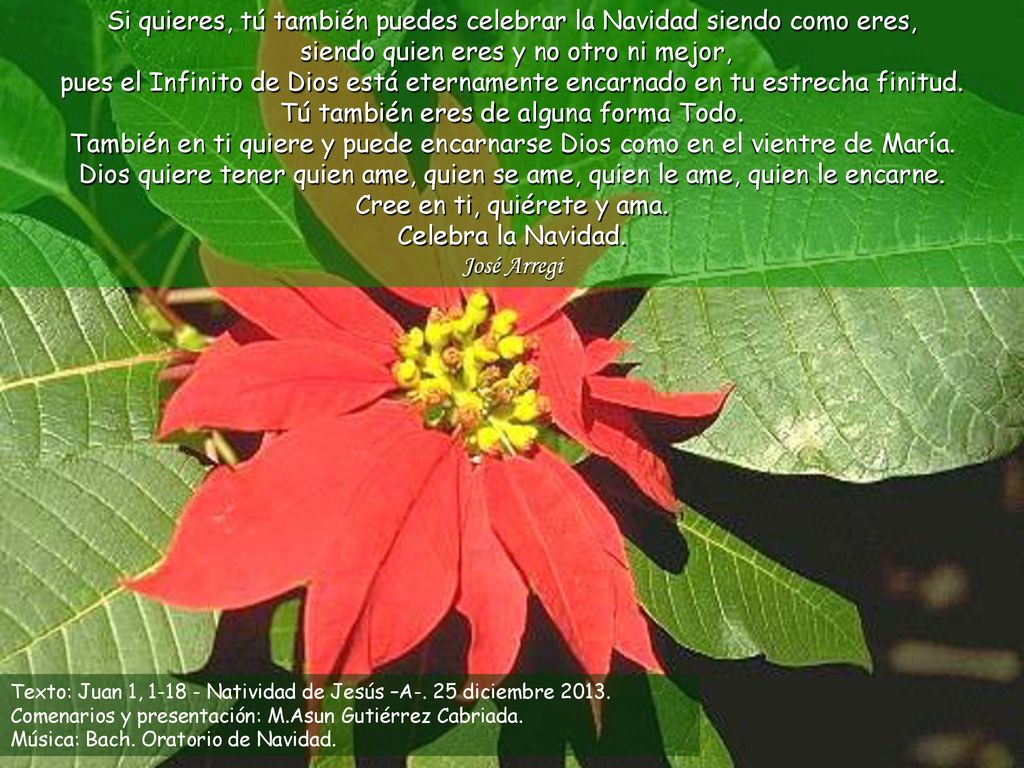 Si quieres, tú también puedes celebrar la Navidad siendo como eres, siendo quien eres y no otro ni mejor, pues el Infinito de Dios está eternamente encarnado en tu estrecha finitud. Tú también eres de alguna forma Todo. También en ti quiere y puede encarnarse Dios como en el vientre de María. Dios quiere tener quien ame, quien se ame, quien le ame, quien le encarne. Cree en ti, quiérete y ama. Celebra la Navidad.
