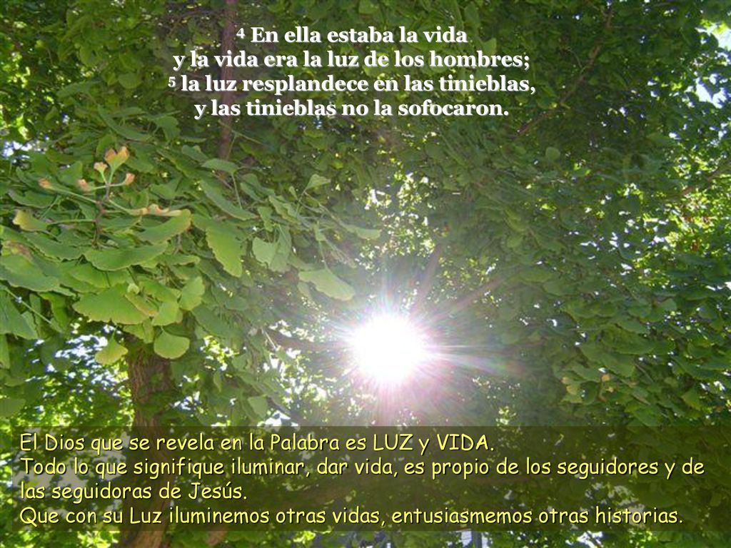 4 En ella estaba la vida y la vida era la luz de los hombres; 5 la luz resplandece en las tinieblas, y las tinieblas no la sofocaron.