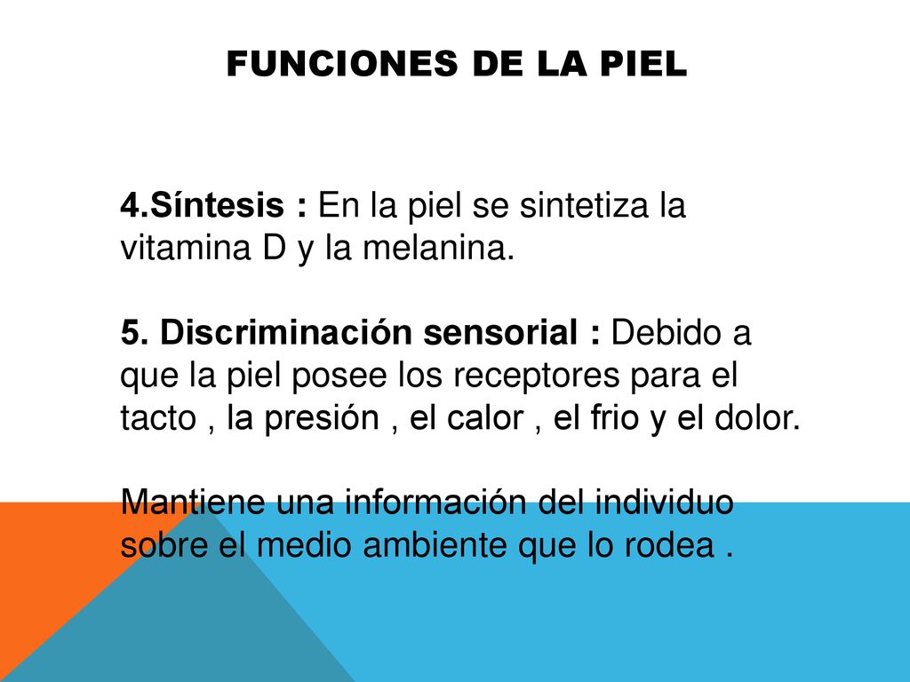 FUNCIONES DE LA PIEL 4.Síntesis : En la piel se sintetiza la vitamina D y la melanina.